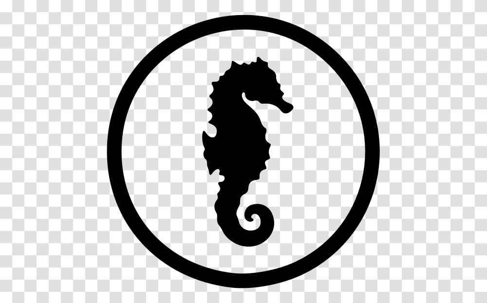 Images Of Seahorses With Background, Gray, World Of Warcraft Transparent Png