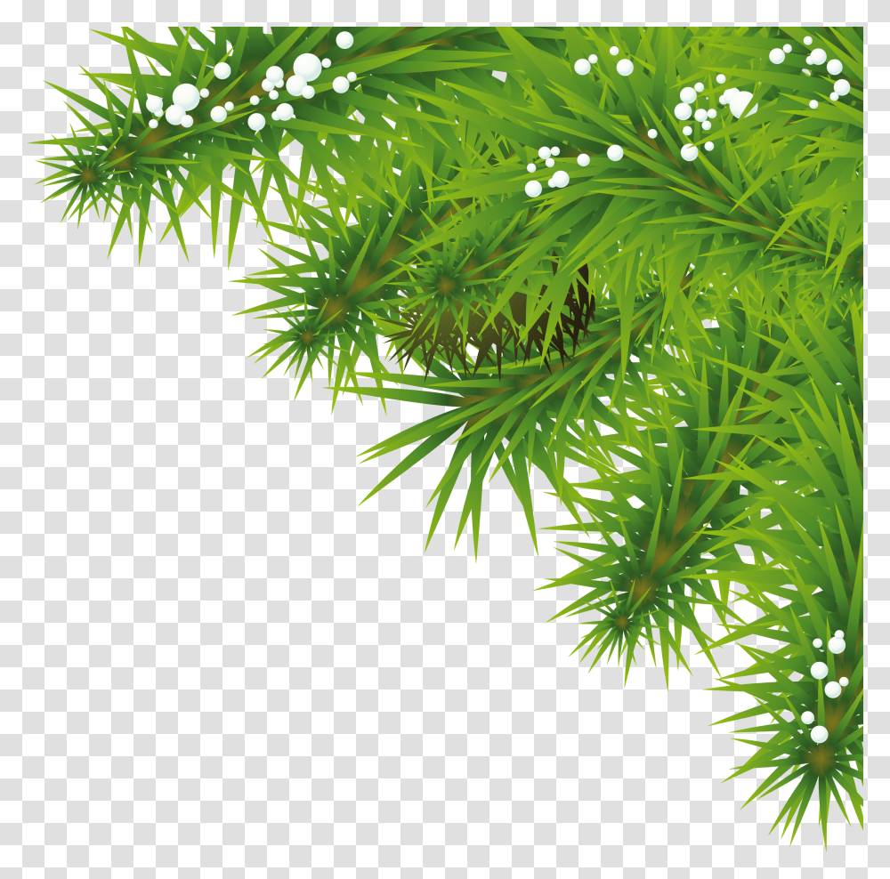 Images Of Tree Tree Background Hd, Leaf, Plant, Green, Vegetation Transparent Png