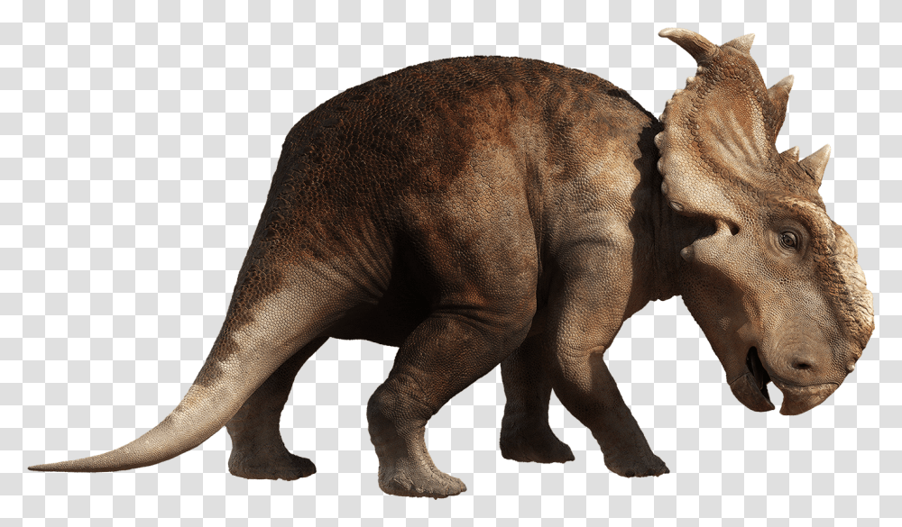 Images Pachyrhinosaurus Walking With Dinosaurs, Reptile, Animal, Elephant, Wildlife Transparent Png