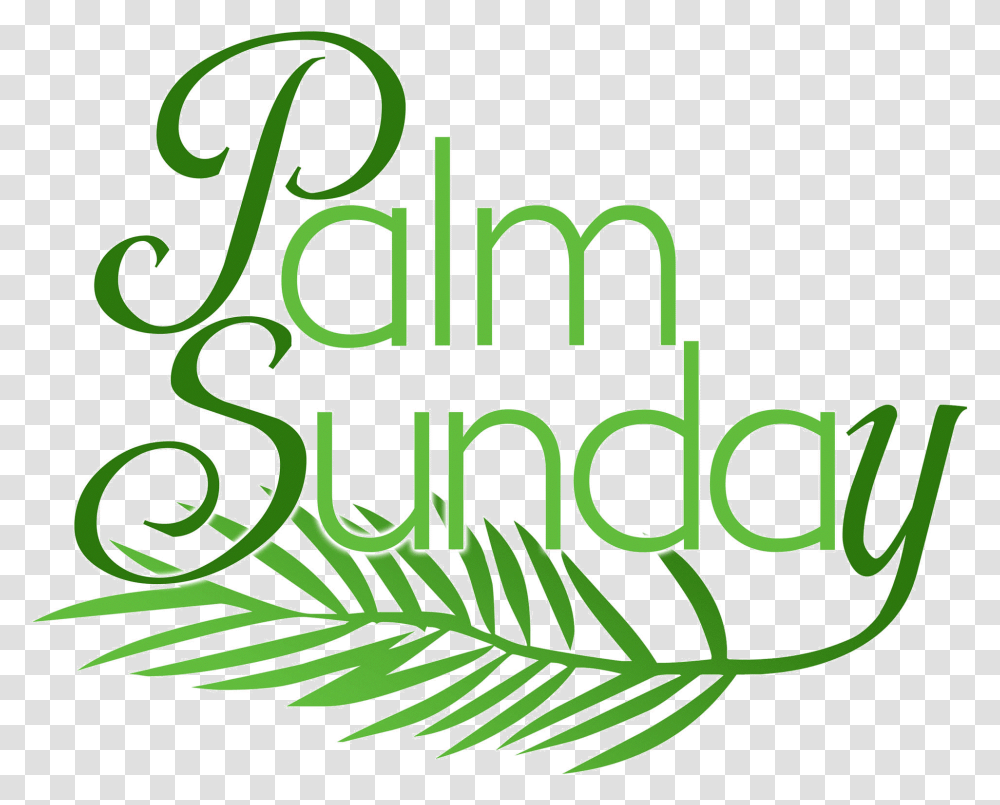 Images Palm Sunday Clipart Library Palm Sunday Free Clipart, Tree, Plant, Conifer Transparent Png