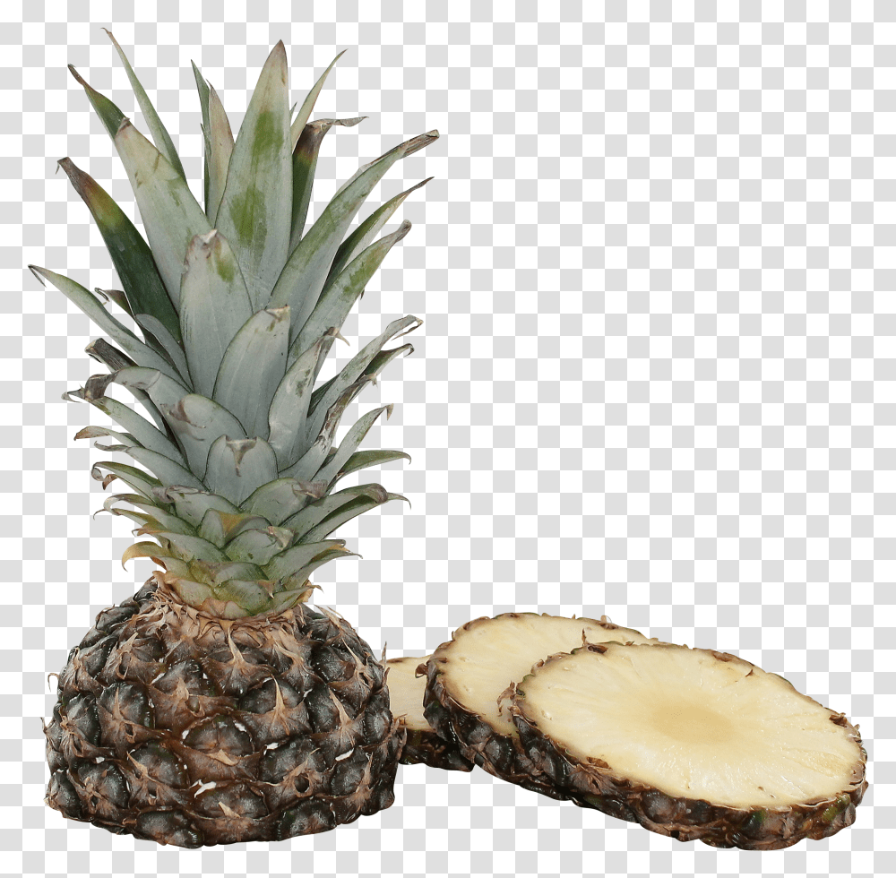 Images Premium Collection Pineapple Transparent Png