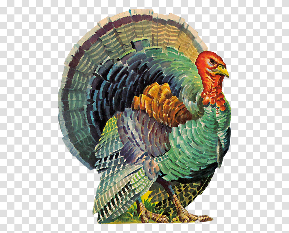 Images Printables Amp Digital Scrapbooking Buttons Turkey Thanksgiving Thank You, Dinosaur, Reptile, Animal, Bird Transparent Png