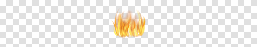 Images Tag Flame, Plant, Flower, Blossom, Fire Transparent Png