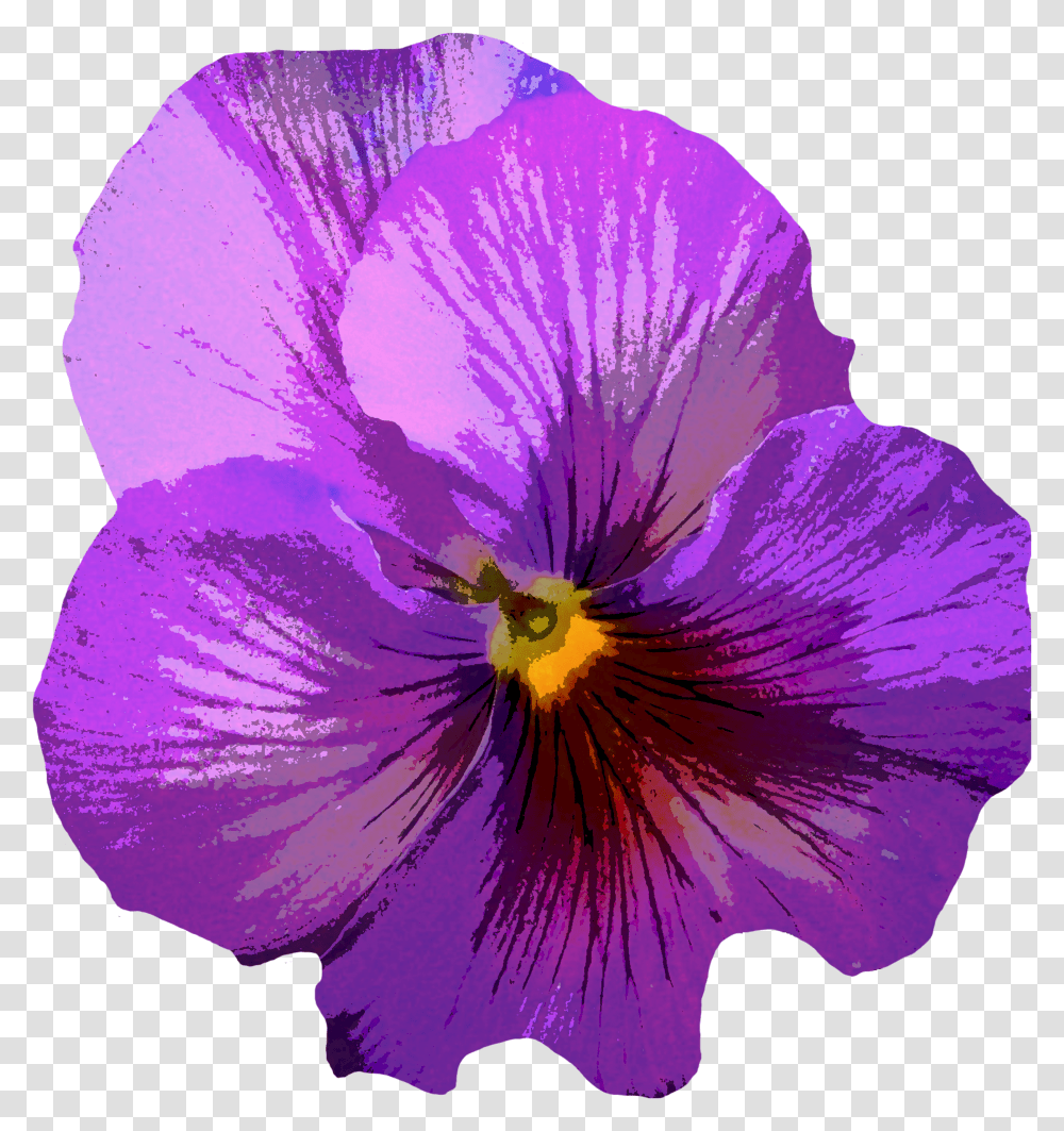 Images Violets Purple Flower Blossom Transparent Png