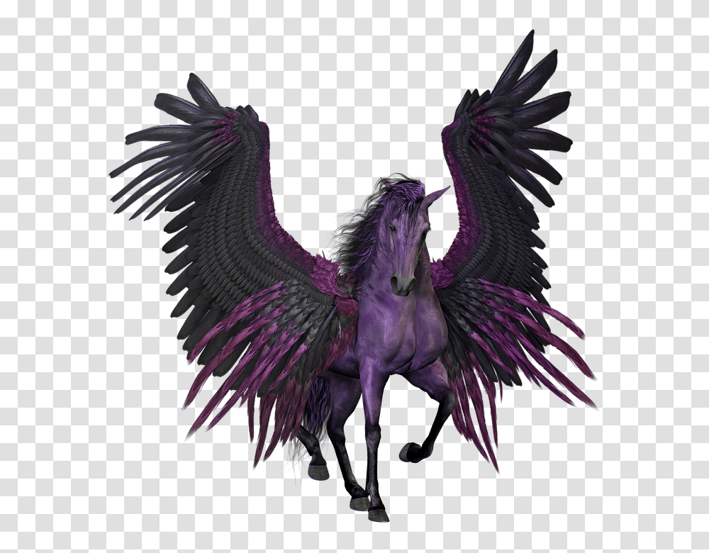 Images Vulturepng Snipstock Unicorn With Wings Real, Chicken, Fowl, Bird, Animal Transparent Png