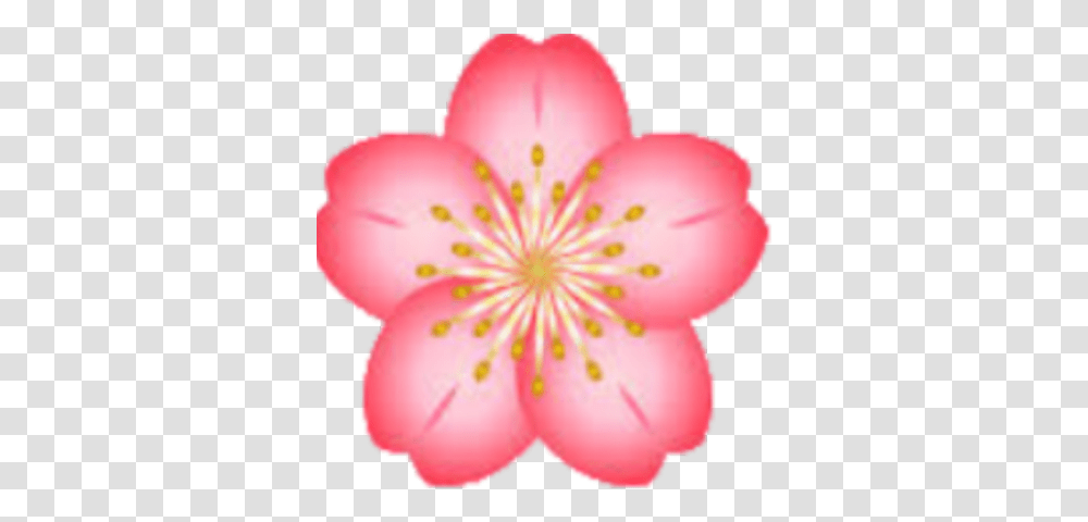 Imagescherry Blossom Roblox Flower Cherry Blossom Clipart, Plant, Balloon, Petal, Anther Transparent Png