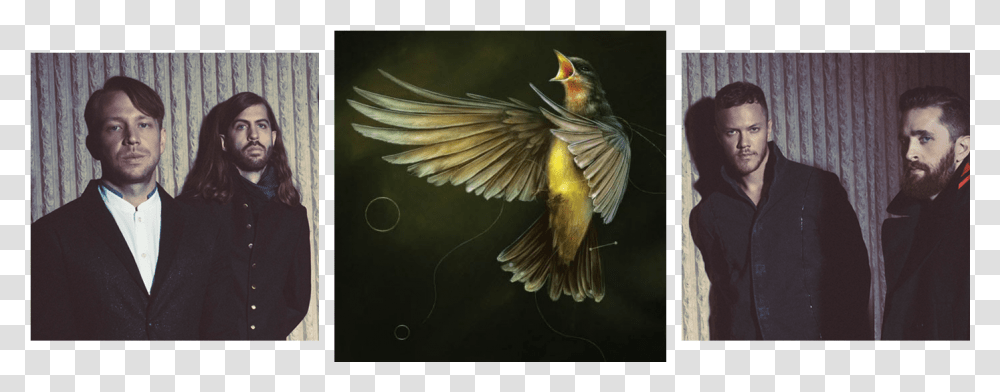 Imagine Dragons, Person, Bird, Animal, Bee Eater Transparent Png