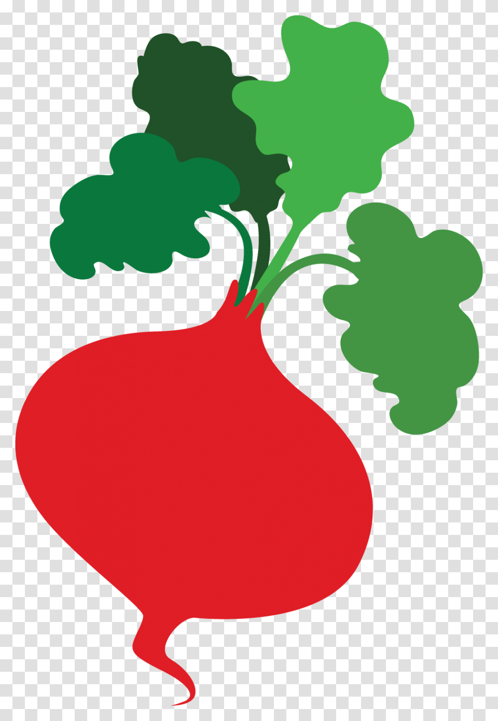 Imagini Banner Organic Food, Plant, Vegetable, Radish, Carrot Transparent Png