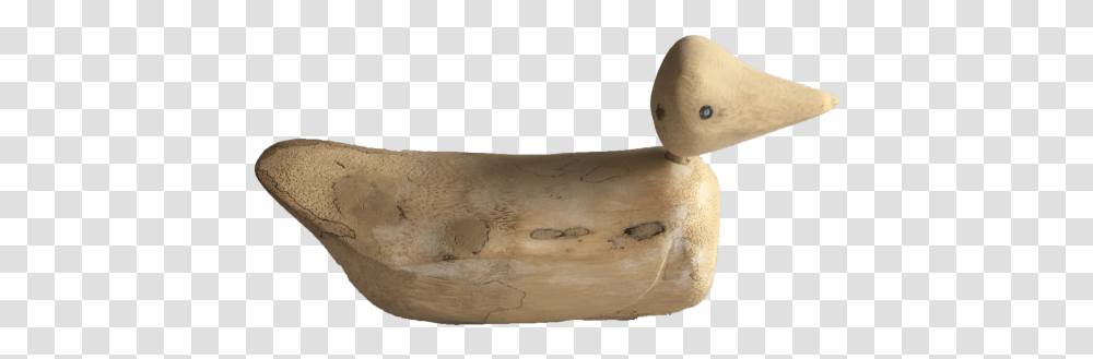 Img 1670 2 Duck, Ivory, Snowman, Nature, Soil Transparent Png