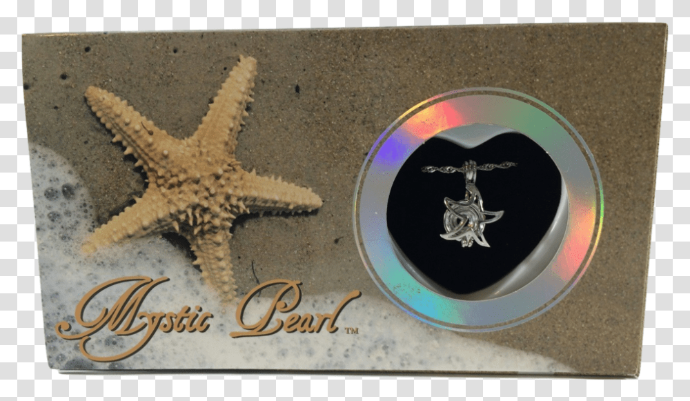 Img 5900 Burned Mystic Pearl Starfish Necklace, Lizard, Reptile, Animal Transparent Png
