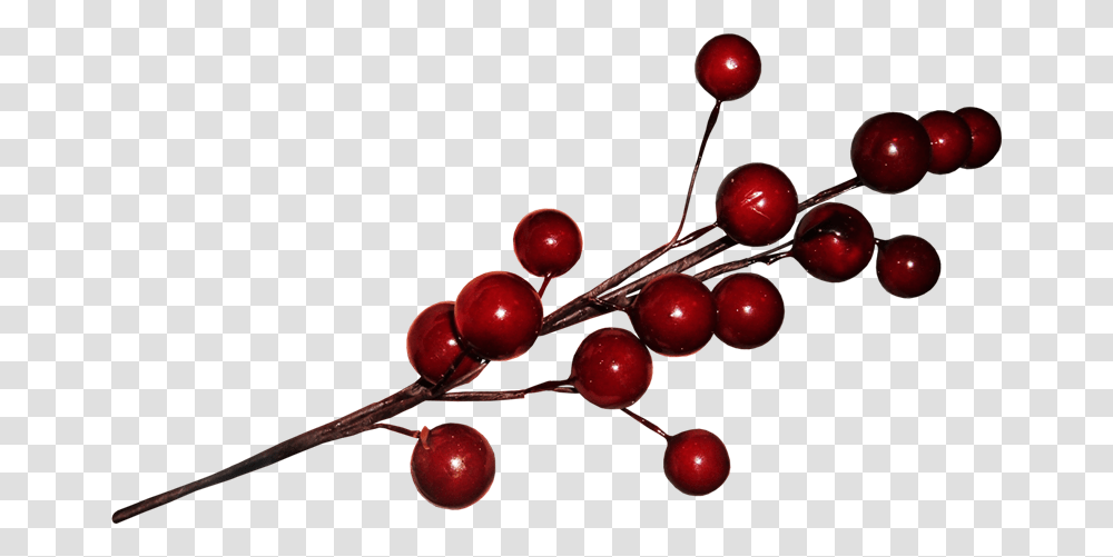 Img Cherry, Plant, Fruit, Food, Annonaceae Transparent Png