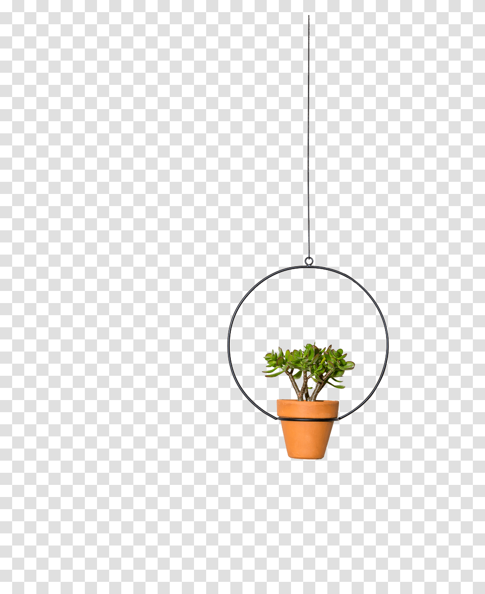 Img Houseplant, Pot, Jar, Potted Plant, Vase Transparent Png