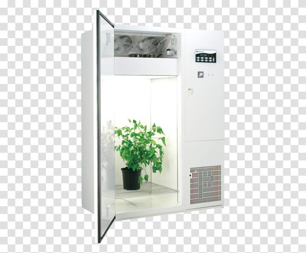 Img Houseplant, Refrigerator, Appliance, Person, Human Transparent Png