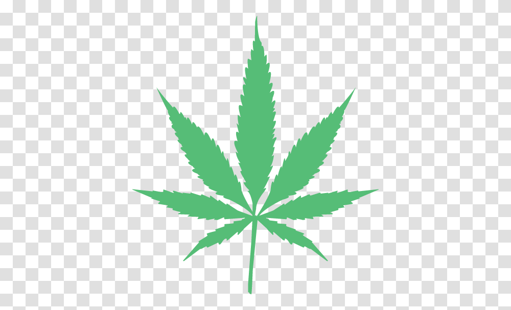 Img Marijuana Leaf, Plant, Hemp, Weed, Bird Transparent Png