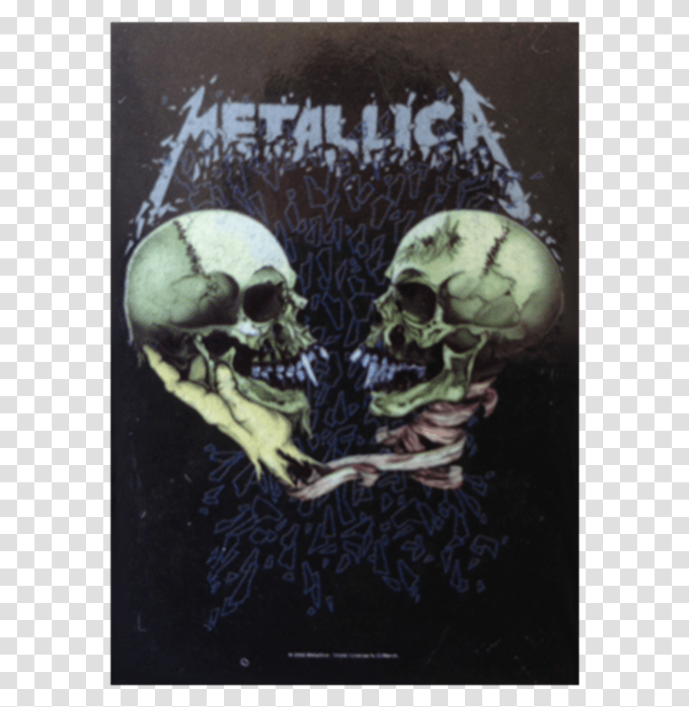 Img Metallica Sad But True Cover, Bird, Animal, X-Ray, Medical Imaging X-Ray Film Transparent Png