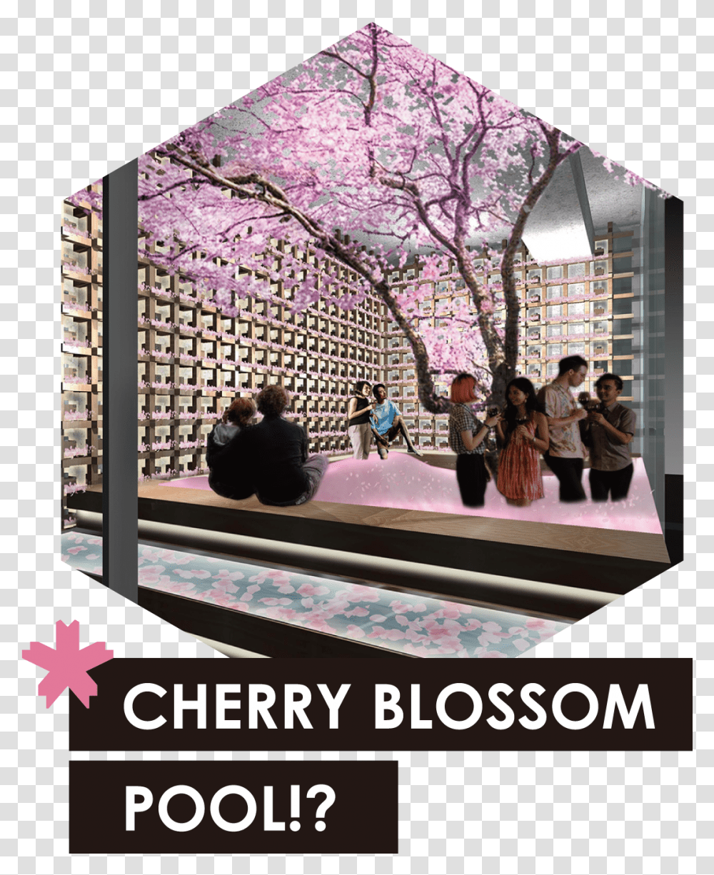 Img Sakura Chill Bar, Person, Advertisement, Poster, Plant Transparent Png