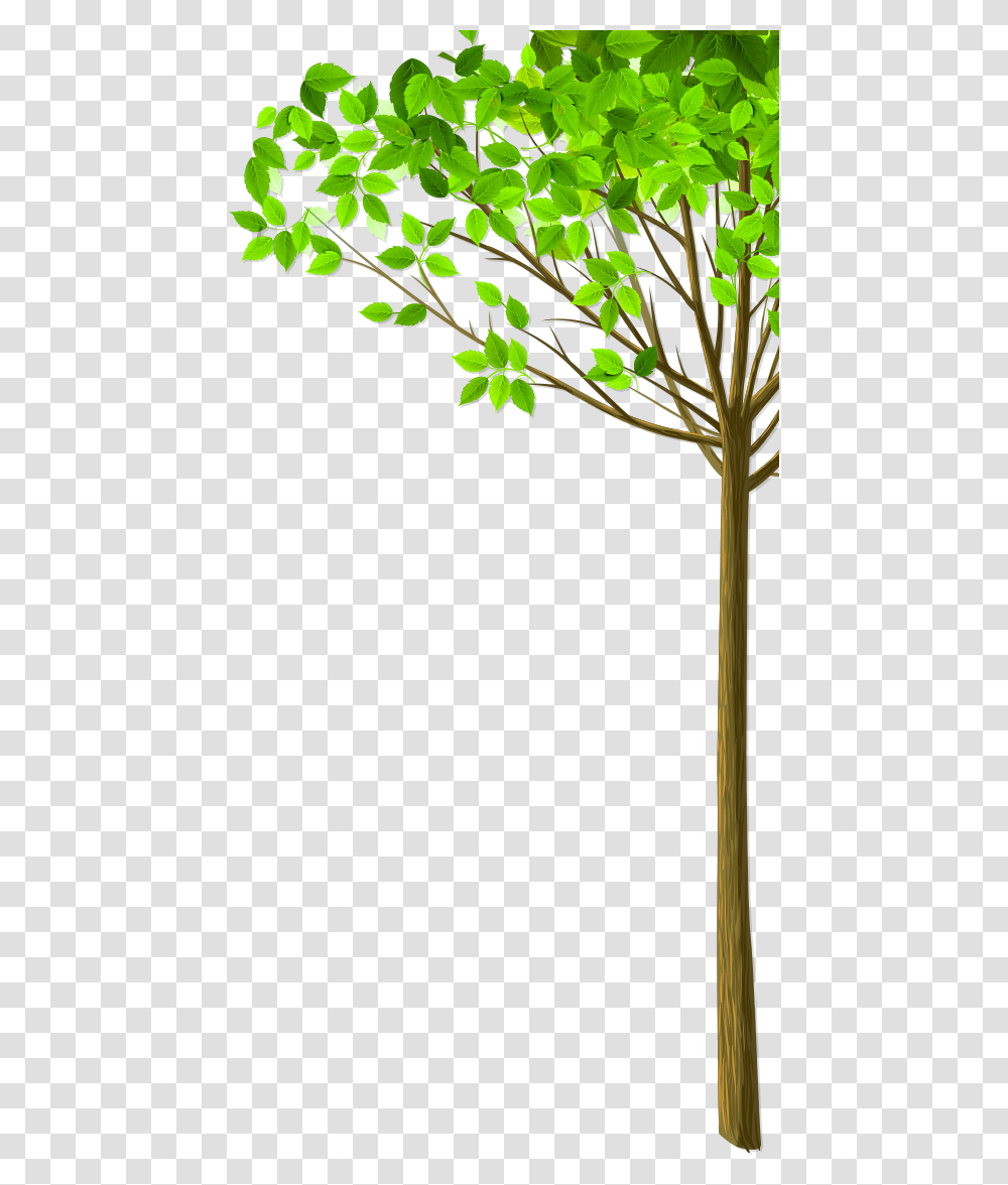 Img Tree 26 September World Environmental Health Day, Plant, Leaf, Flower, Vegetation Transparent Png