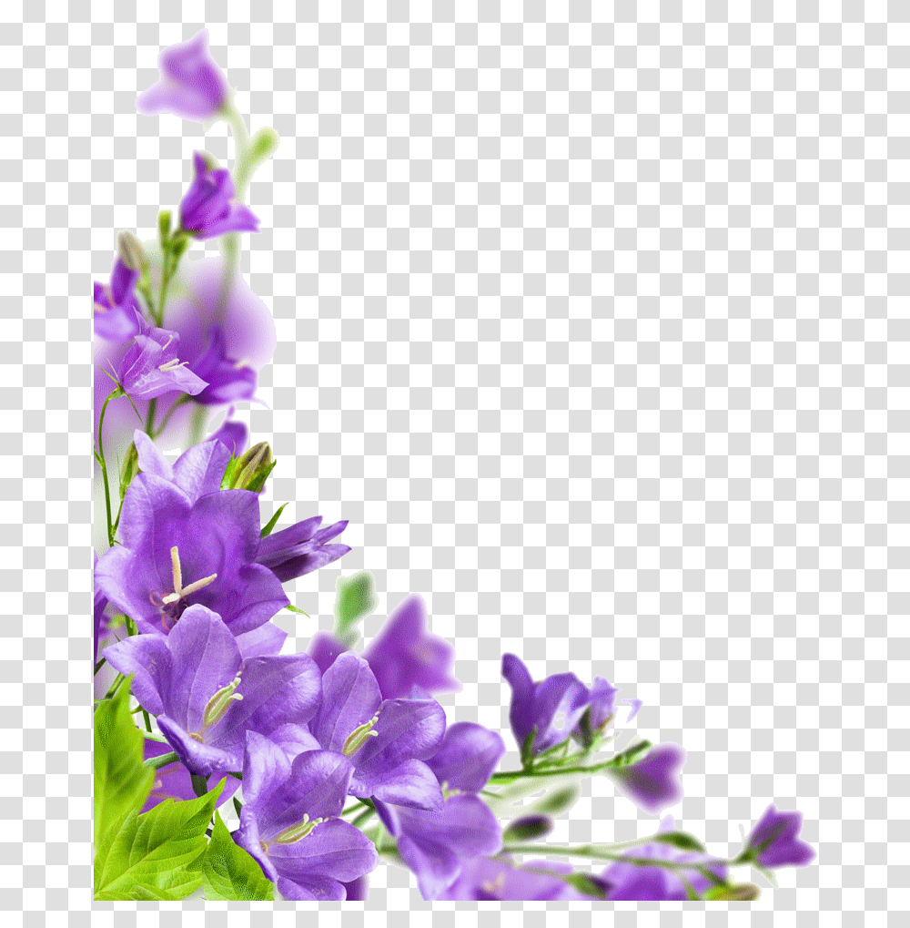 Imgenes Para Crear Firmas Flore Para Decoracion Marcos, Iris, Flower, Plant, Blossom Transparent Png