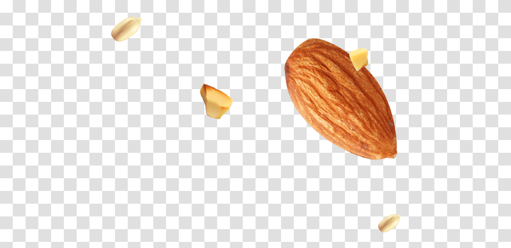 Imgfooteralmond Seed Almond, Plant, Nut, Vegetable, Food Transparent Png