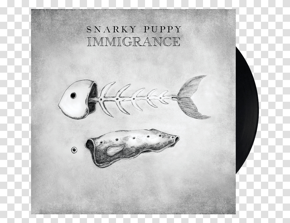 Immigrance VinylClass Snarky Puppy Immigrance Album, Fish, Animal, Jaw, Bird Transparent Png