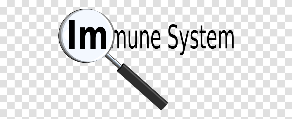 Immune System Title With Magnifying Glass Clip Art Transparent Png
