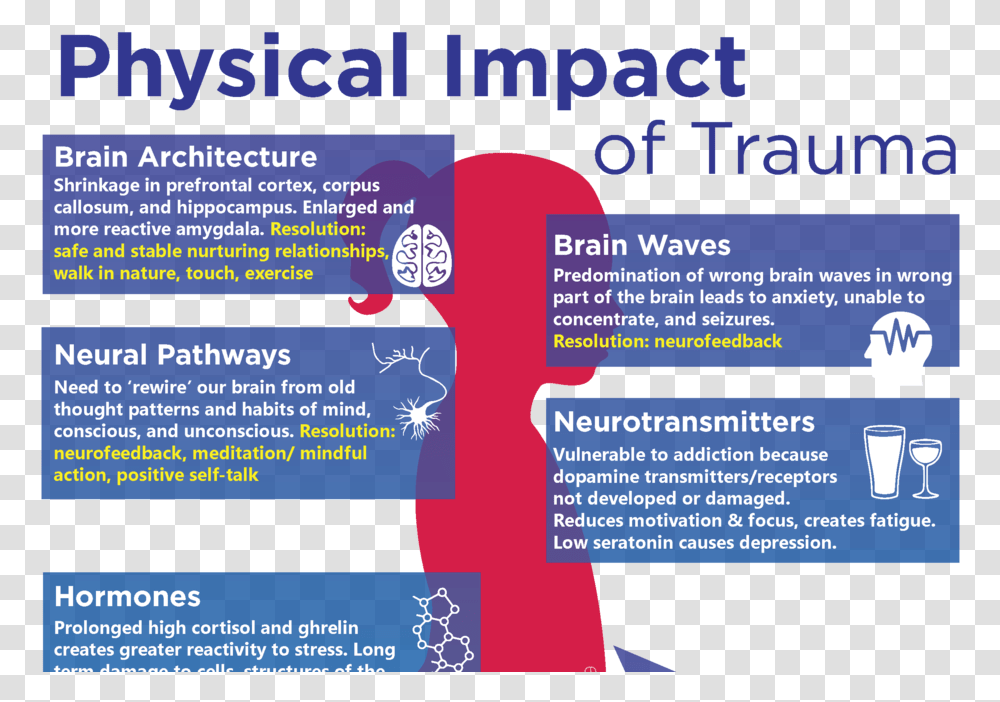 Impact Of Trauma On Body, Poster, Advertisement, Flyer, Paper Transparent Png