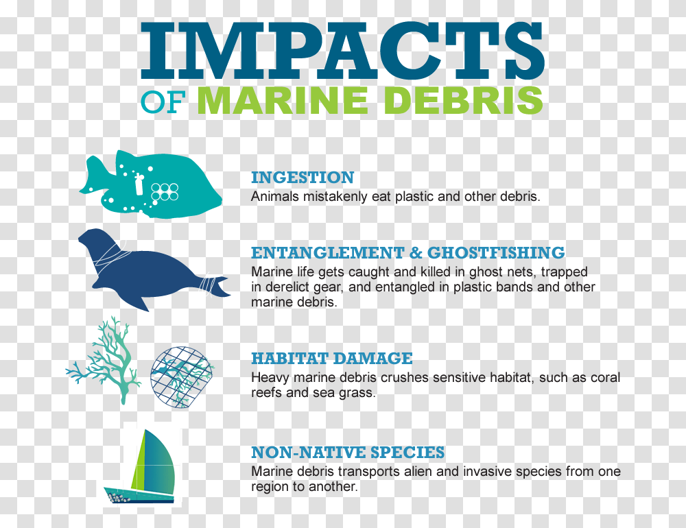 Impacts Of Marine Debris Impacts Of Marine Litter, Poster, Advertisement, Flyer, Paper Transparent Png