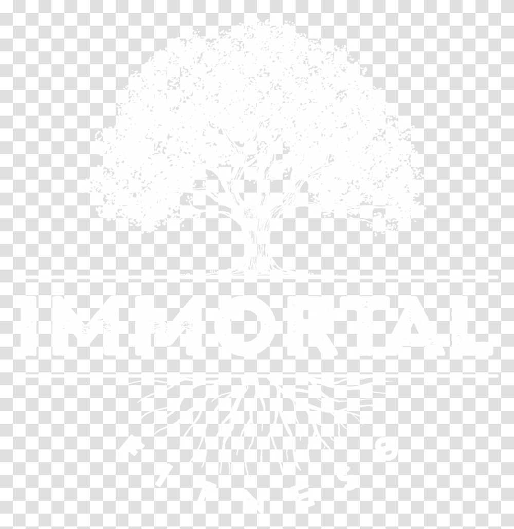 Imperial Auto Spa, White, Texture, White Board Transparent Png