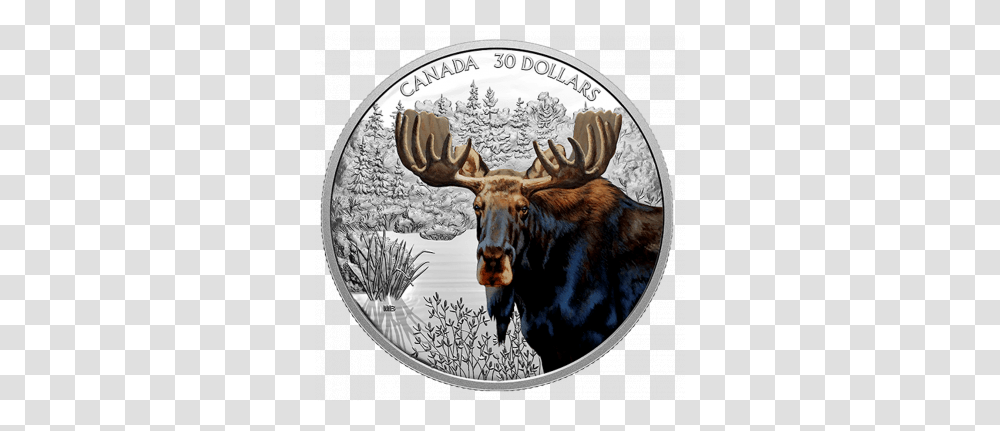 Imposing Icons Moose 2oz Canadian Mint Moose Coin, Wildlife, Animal, Mammal, Antelope Transparent Png