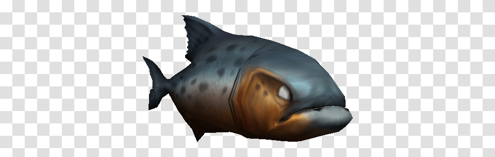 Impossible Creatures Game Wiki Shark, Sea Life, Fish, Animal, Bottle Transparent Png
