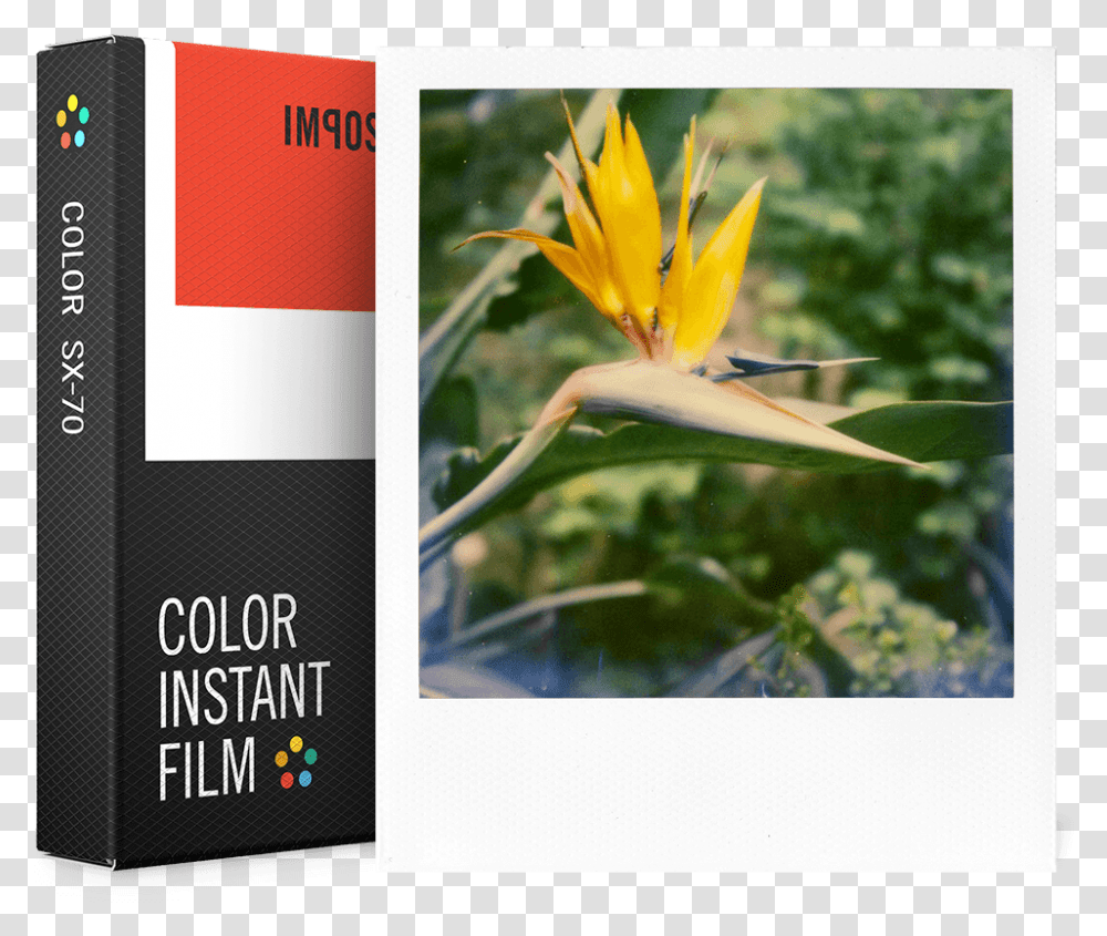 Impossible Sx 70 Film Color, Advertisement, Poster, Flyer, Paper Transparent Png