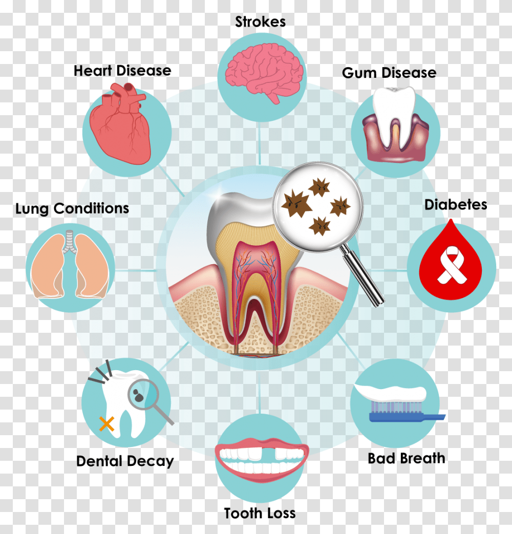 Improve Your Today With Lab A Recent Dental Disease Clip Art, Birthday Cake, Dessert, Food, Piggy Bank Transparent Png