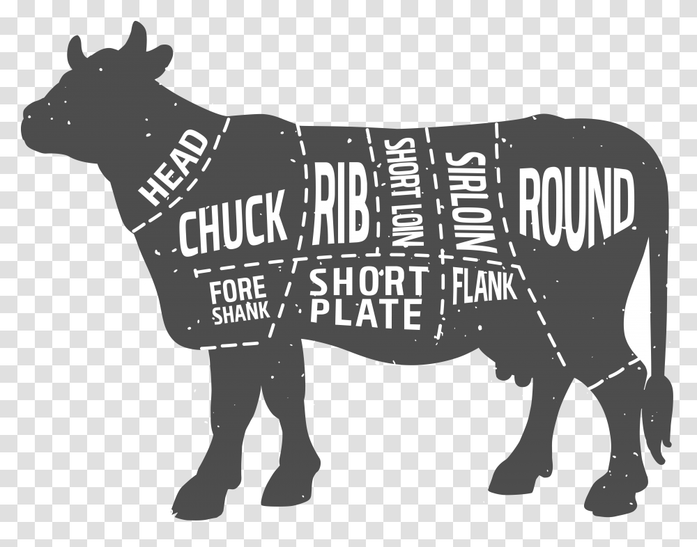 In 4 Easy Steps Part Of Cow, Word, Bull, Mammal, Animal Transparent Png