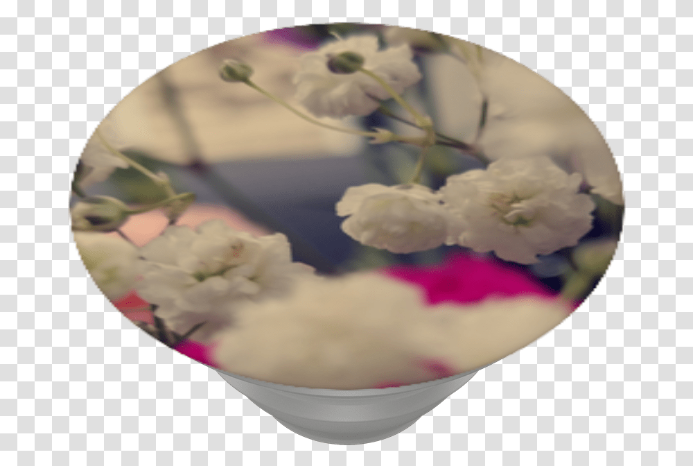 In A Field Of Flowers Cherry Blossom, Cream, Dessert, Food, Sweets Transparent Png