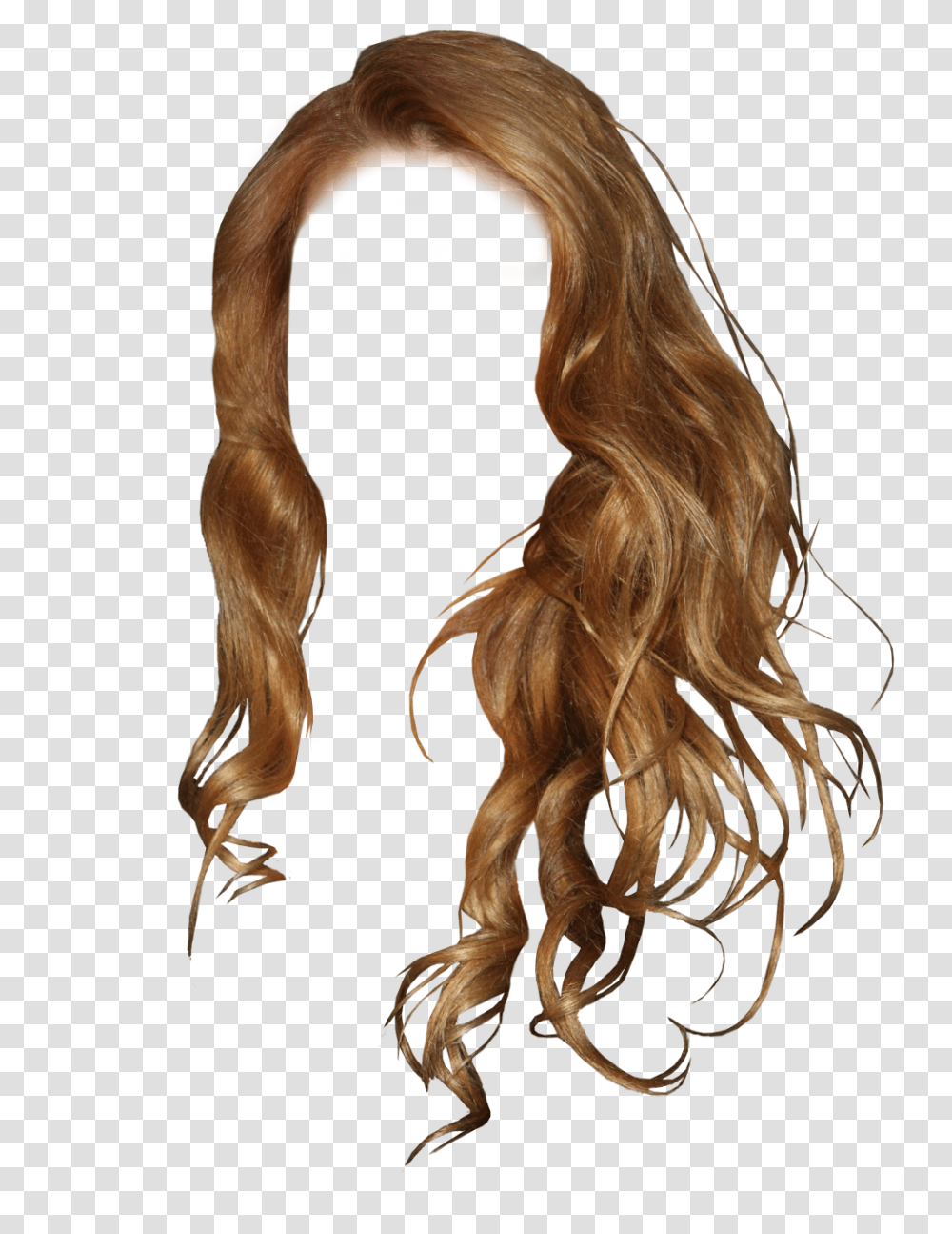 In Hair, Wig, Person, Human Transparent Png