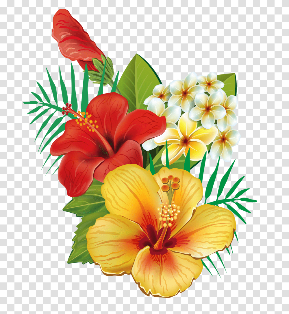 In Hibiscus Flores Arte Pinturas, Plant, Flower, Blossom, Petal Transparent Png
