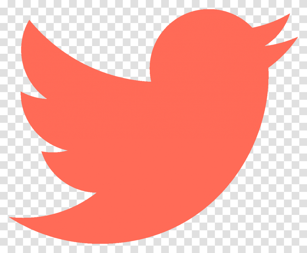 In One Year Spending An Extra 0 Red Twitter Logo, Trademark, Plant Transparent Png
