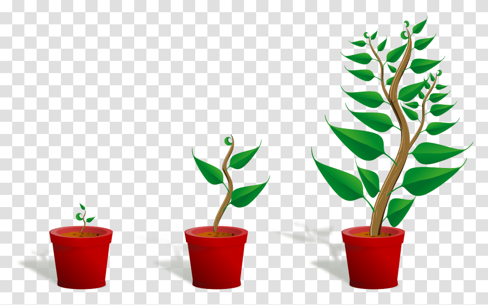 In Short They Simply Don't Want To Entertain The Possibility Getting To Know Plants, Pineapple, Leaf, Soil, Flower Transparent Png
