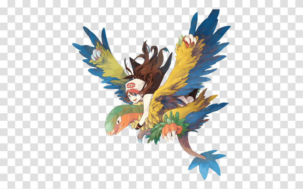 In Terms Of All Flying Types My Favourites Would Probably, Bird, Animal, Parrot, Painting Transparent Png