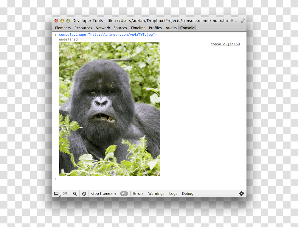 In The Console, Mammal, Animal, Wildlife, Gorilla Transparent Png