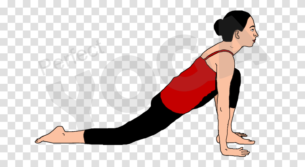 In The Third Stance Of The Purna Surya Namaskar Arrangement Press Up, Person, Hand Transparent Png
