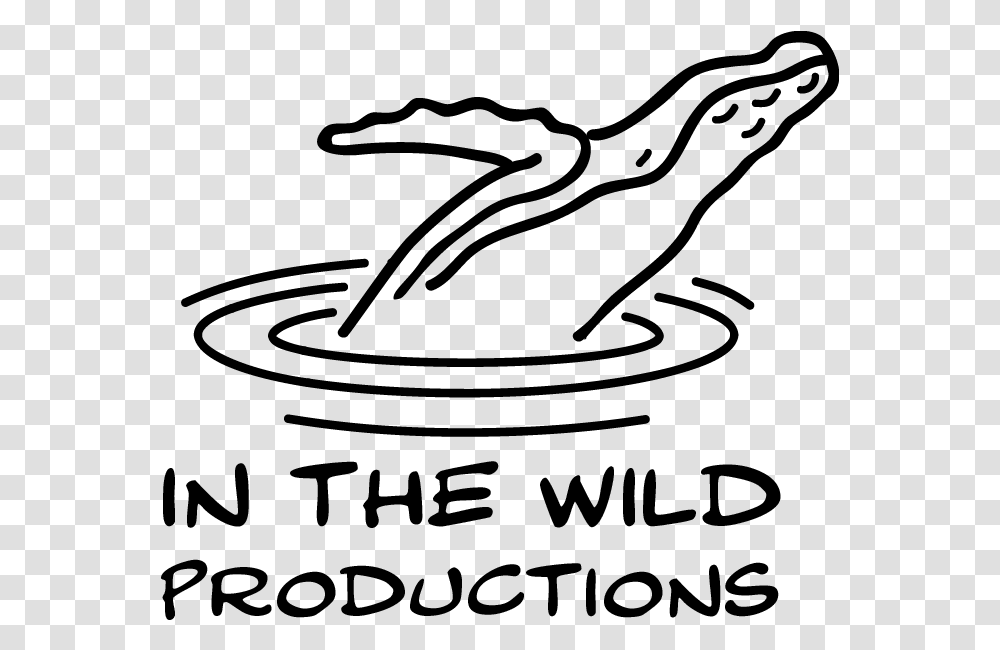 In The Wild Productions Whale Footage Whale Watch Videos Line Art, Gray, World Of Warcraft Transparent Png