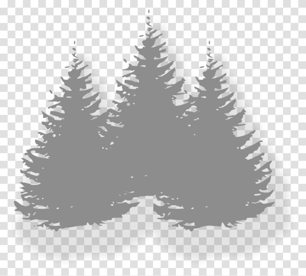 In The Woods Events Pine Trees Clip Art, Plant, Fir, Abies, Ornament Transparent Png
