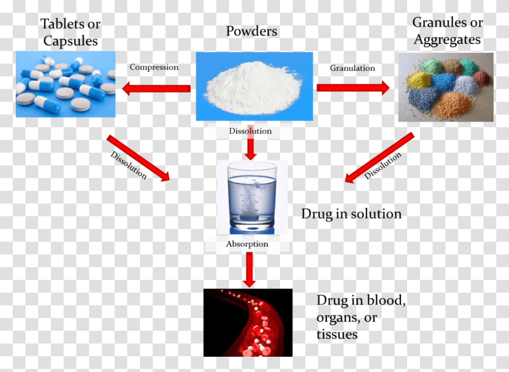 In Vitro En Dissolution Test, Powder, Food, Flour, Label Transparent Png