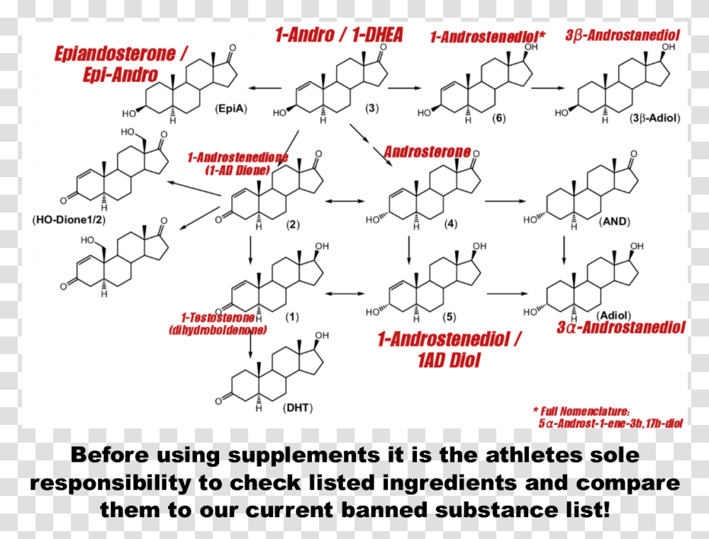 Inbf Wnbf Banned Substance List You Have Been Warned Testosterone And Epitestosterone Metabolism, Plot, Diagram, Spoke Transparent Png