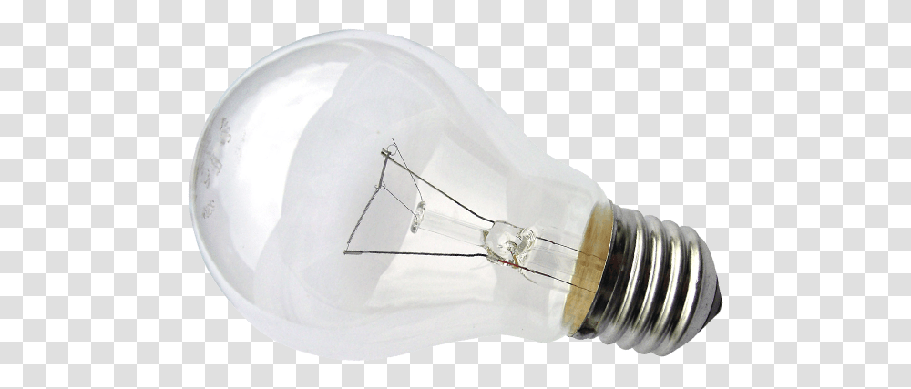 Incandescent Light Bulb, Lightbulb, Insect, Invertebrate, Animal Transparent Png