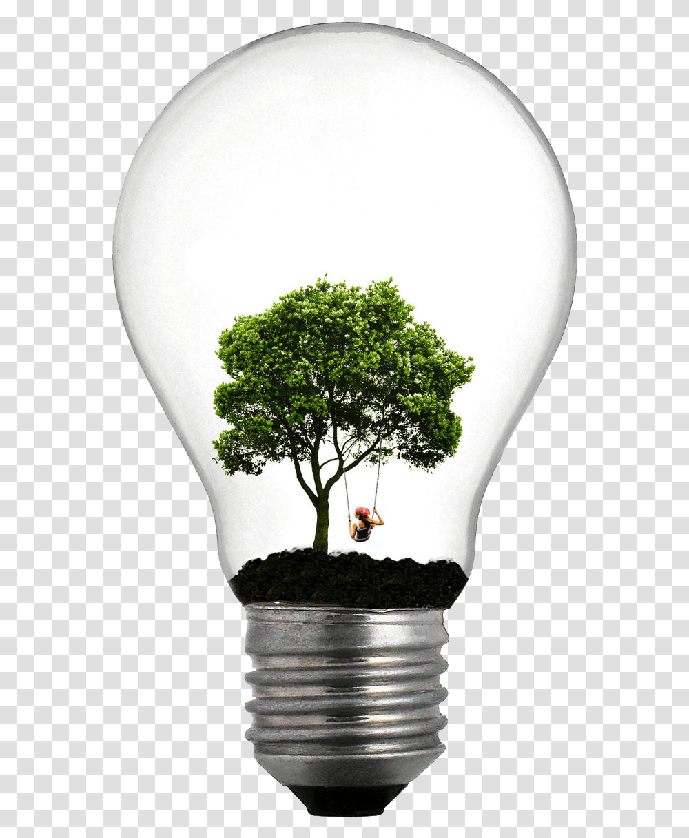 Incandescent Light Bulb Tree Lamp, Lightbulb, Balloon, Plant, Vegetation Transparent Png