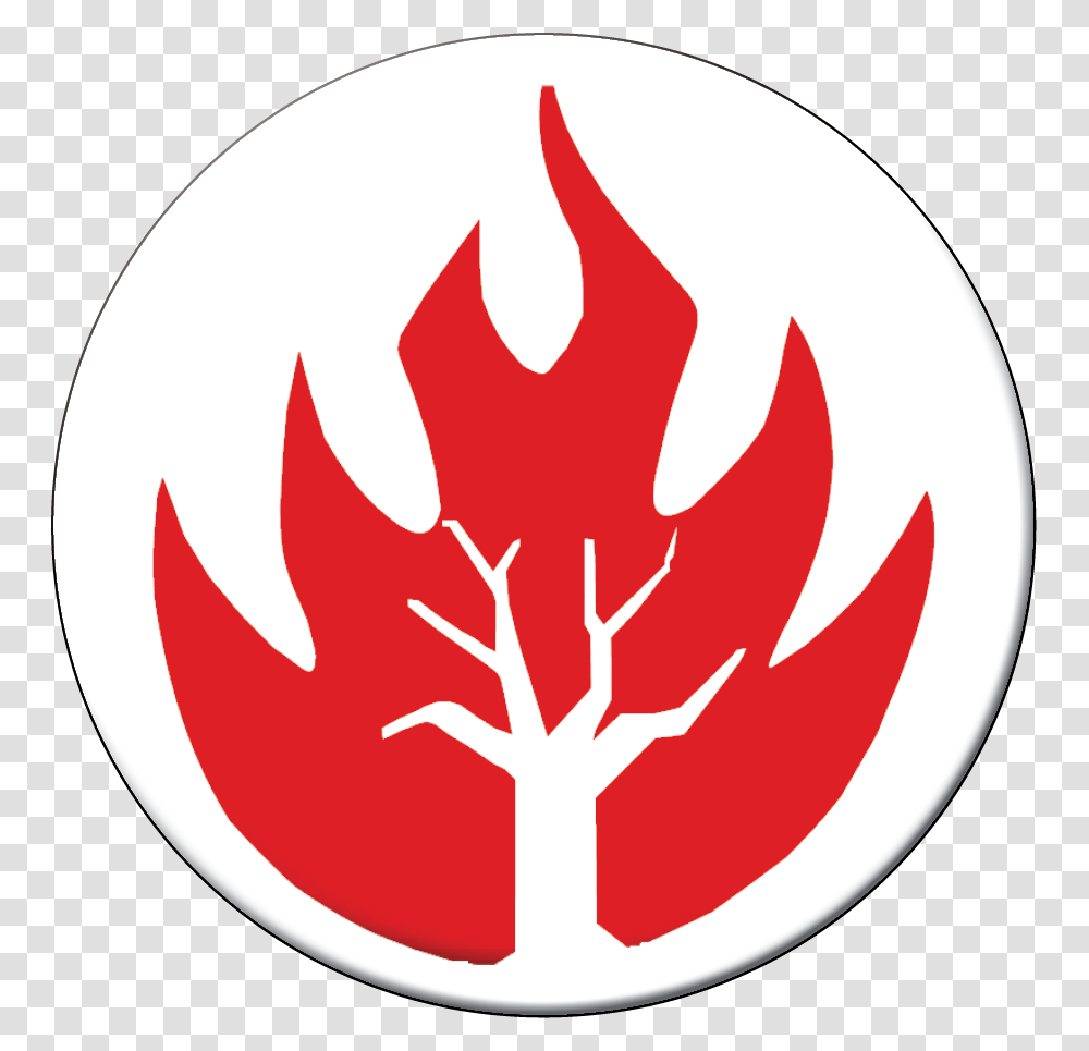 Incendios Forestales Para Dibujar, Leaf, Plant, Tree Transparent Png
