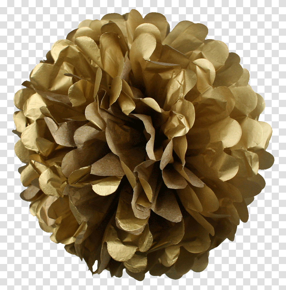 Inch Tissue Paper Flower Pom Poms Pack Of Gold Full Pom Poms Gold, Rose, Plant, Blossom, Flower Arrangement Transparent Png