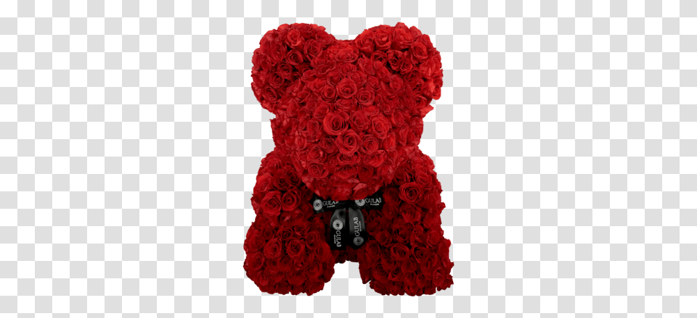 Inches Tall Preserved Luxe Red Rose Bear Teddy Bear, Plant, Flower, Floral Design, Pattern Transparent Png